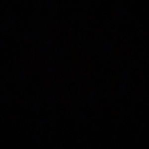 Meet your Posher, Ronza